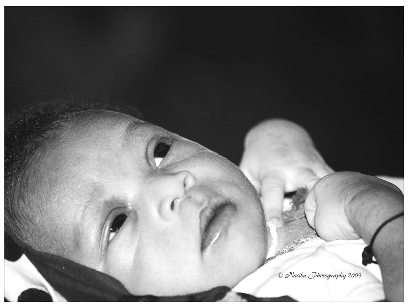 Nephew