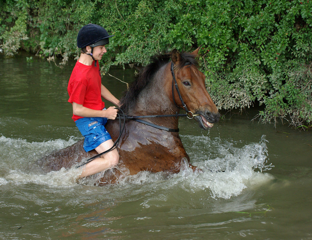 River Horse..