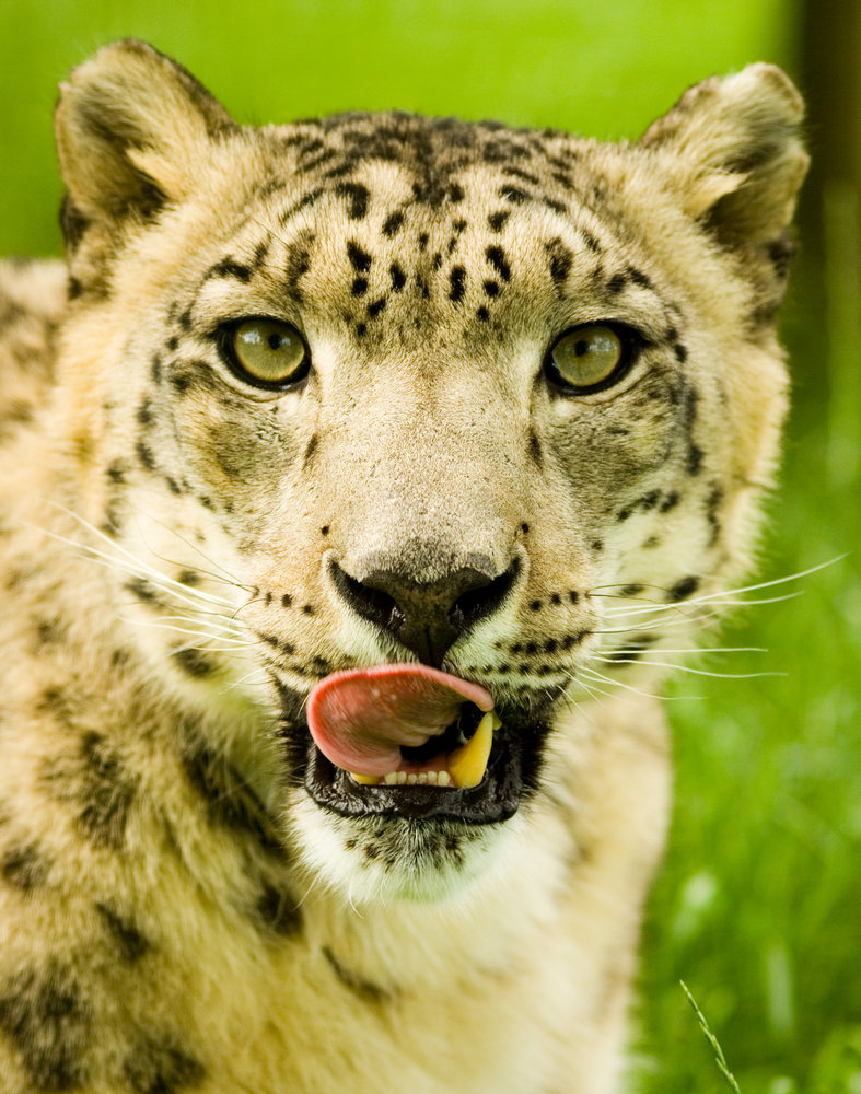 Slurp!