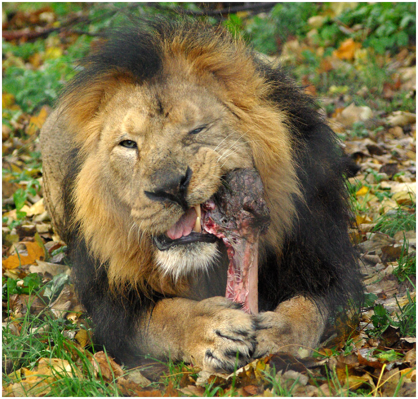 Snacking