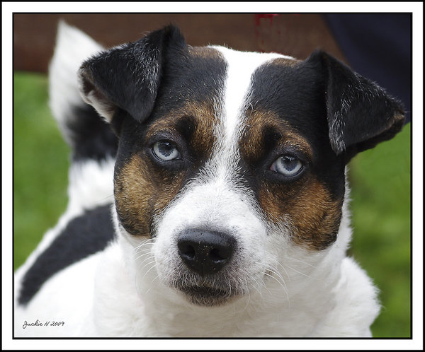 JR Headshot