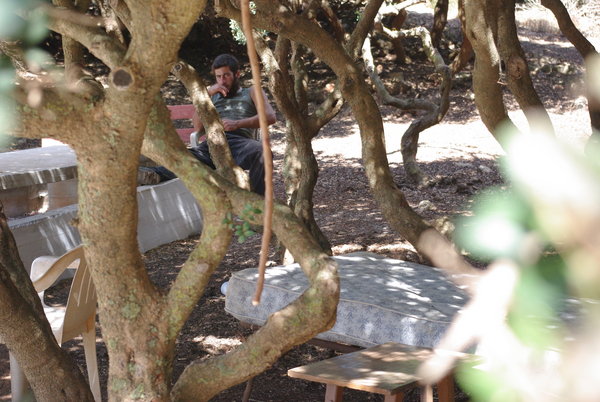 laying under the trees