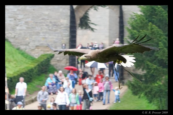 On approach