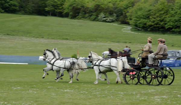 Racing for the line