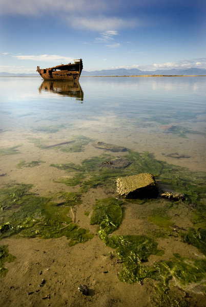 Shipwreck at Motueka - Janie Saddon