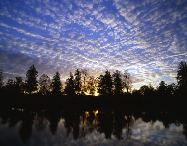 Winter Sunrise