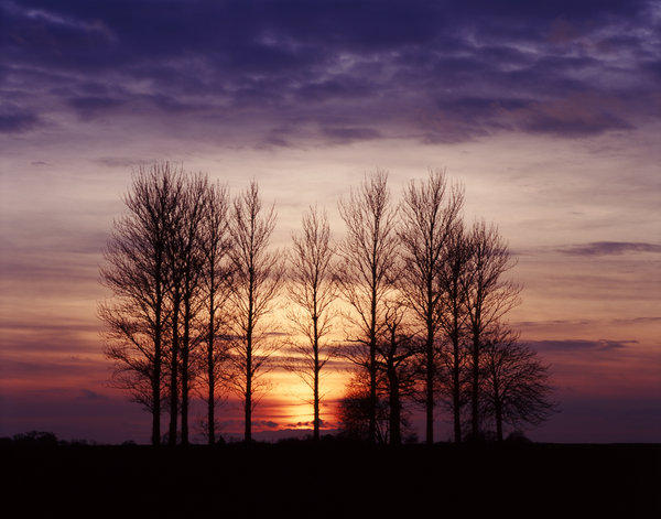 Winter sunset