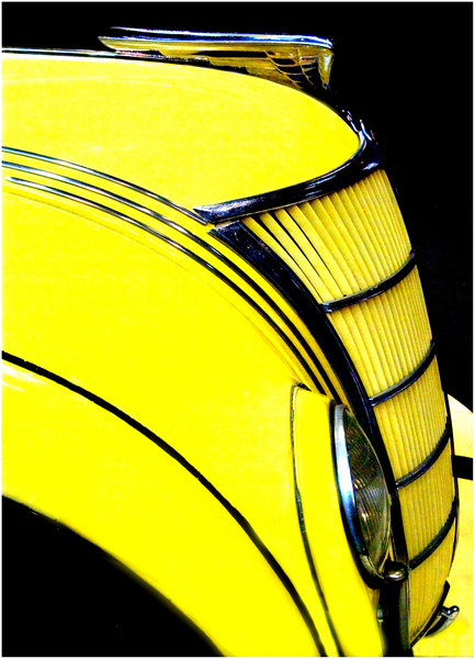 Yellow Beaut.