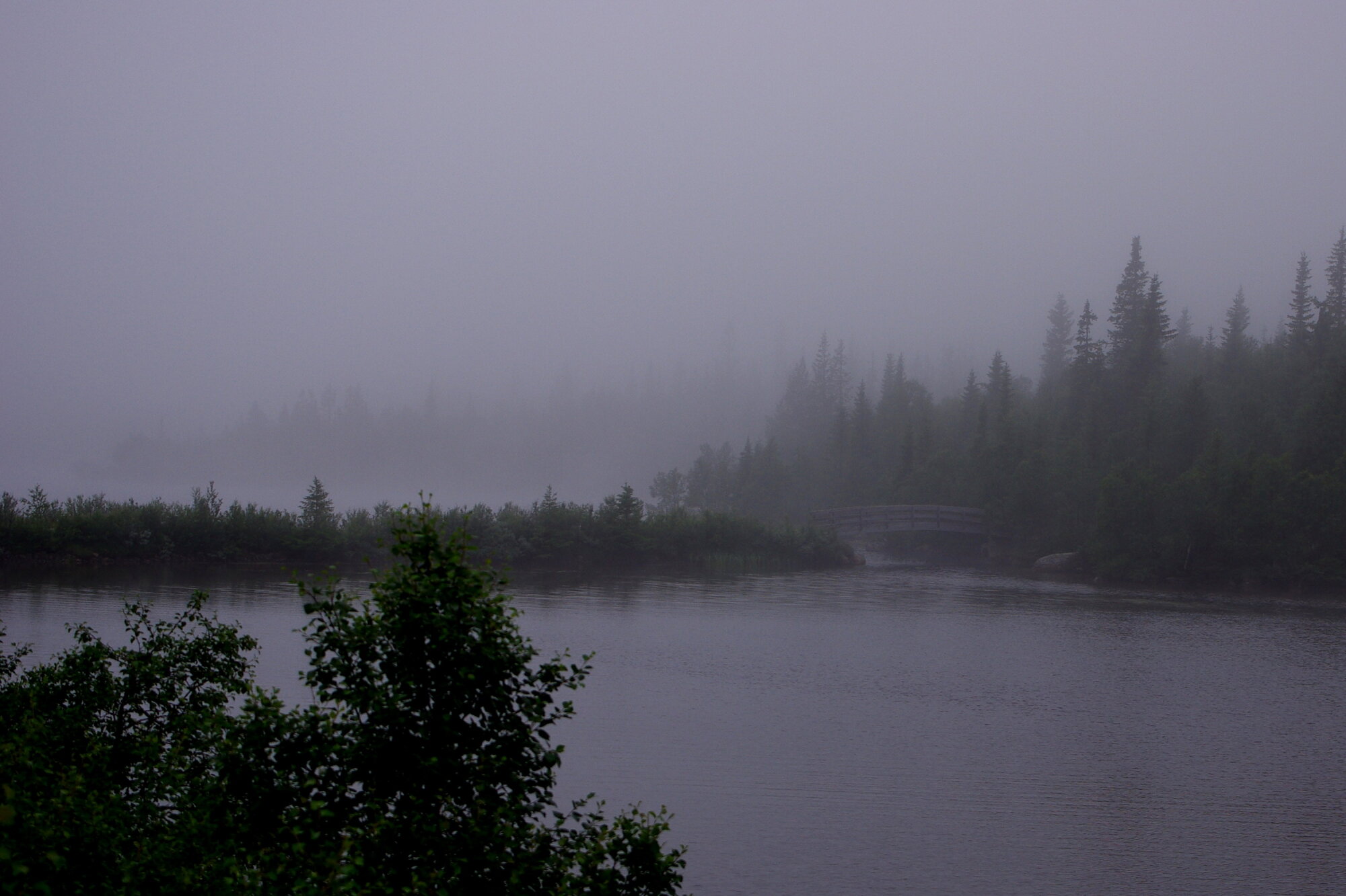 Early in the morning