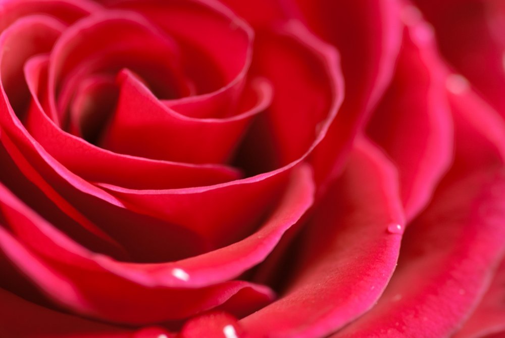 Macro Experiment