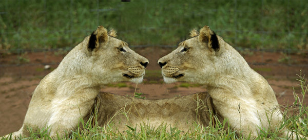 Are you looking at me???