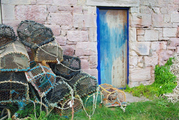 Cove door