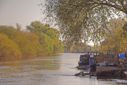 River Severn Autumn