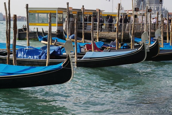 Taxi Grazie quanto  costera?