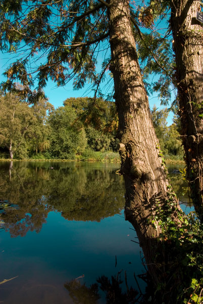 The lake.