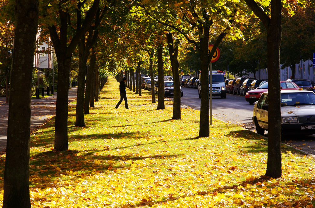 Autumn in Stockholm