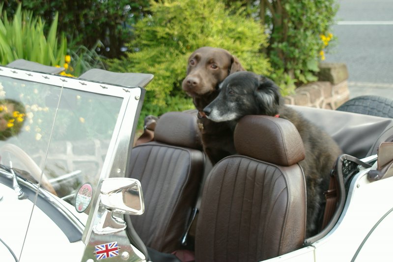 HOW DO WE REACH THE PEDALS ?