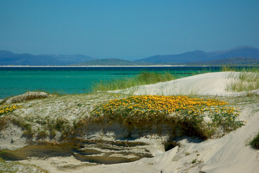 Machair