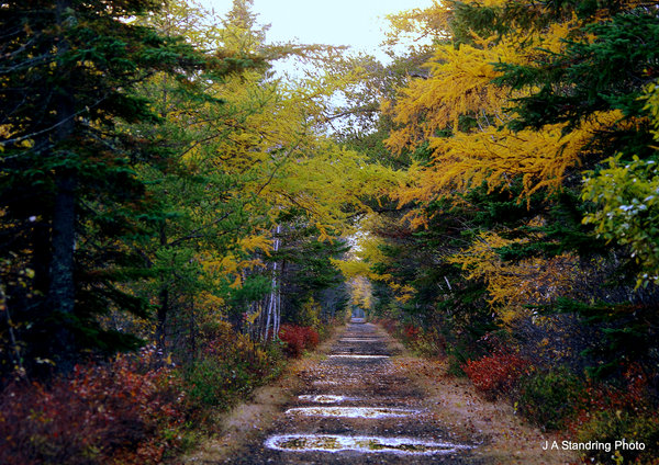 After the Autumn Rain