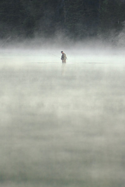 Angler in the mist