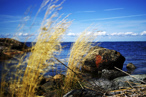 Island with a view
