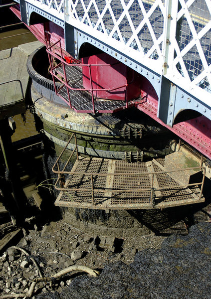 Mechanism@low tide