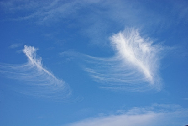 SKYDANCERS