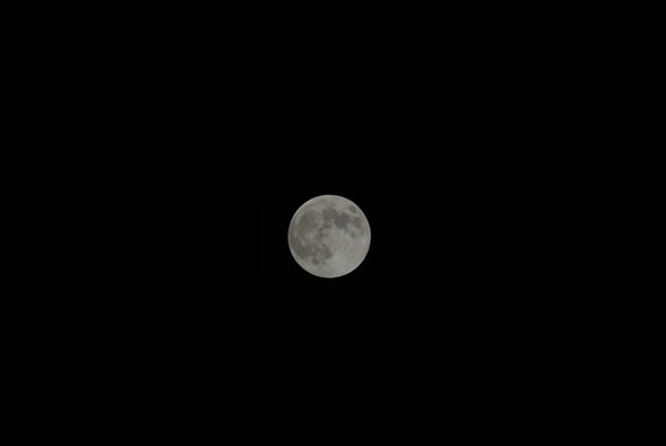 The Moon