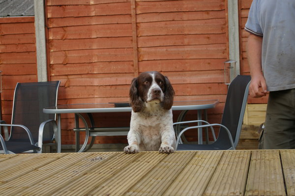 Where's every one gone