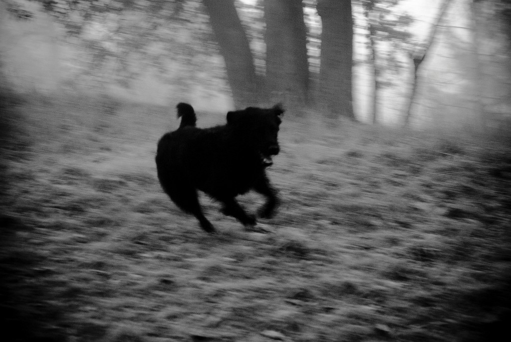 Running free