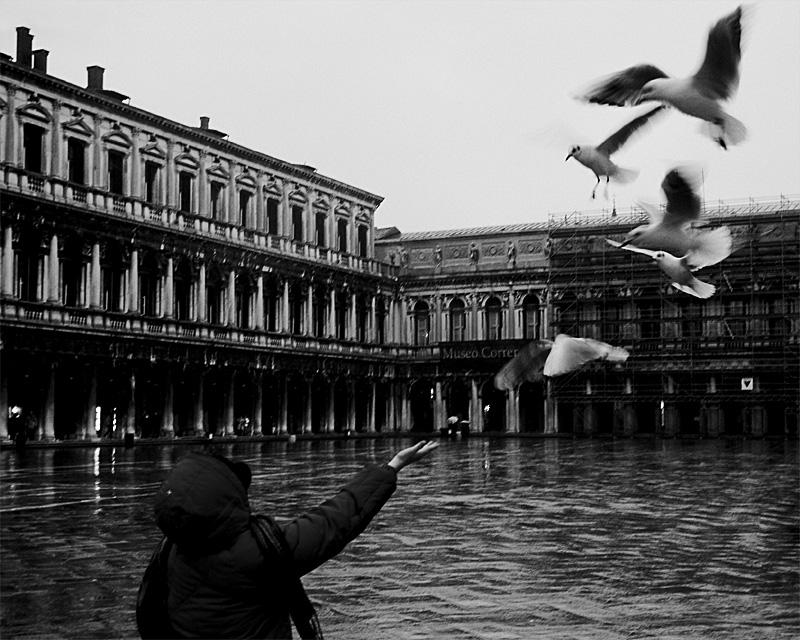 Reaching for freedom