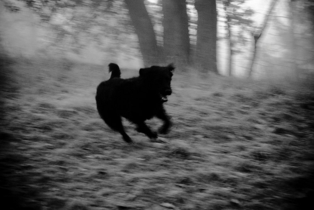 Running free