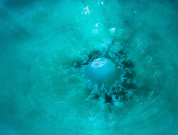 Blue Alien