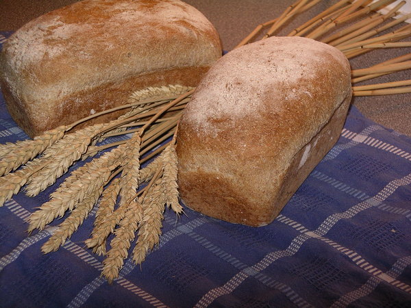 Bread