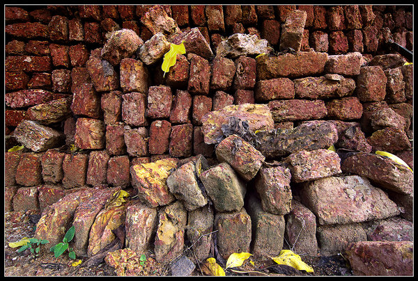 Bricks!