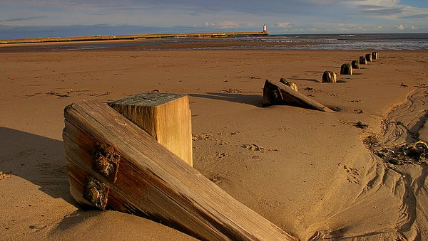 On the beach!�