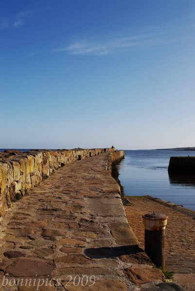 The Harbour Exit