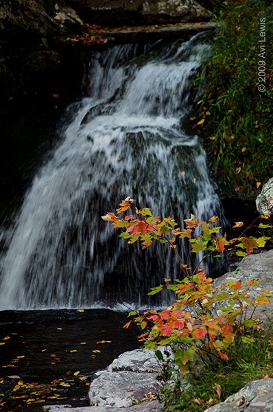 Van Campen's Brook
