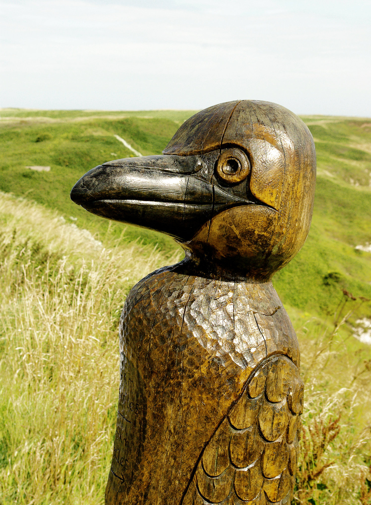 Lesser Spotted Wooden Beaky Bird...................
