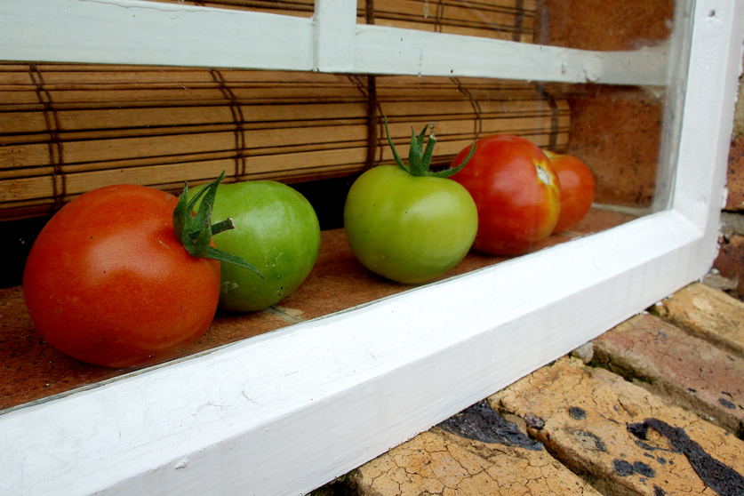 From my garden