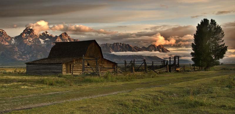 Homestead