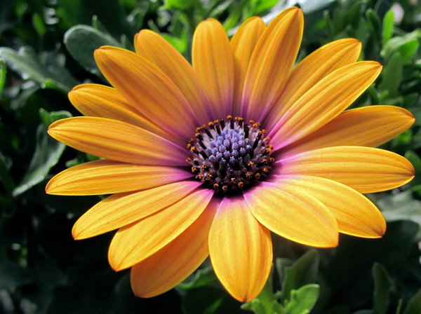 A bit of sunshine