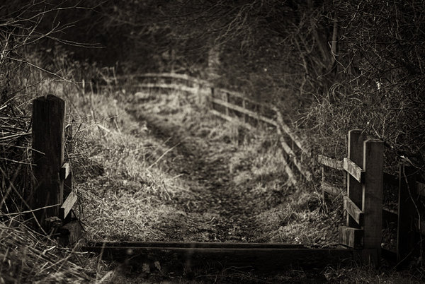 enter...