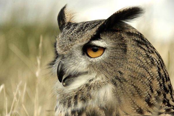 Feed me Now..........................