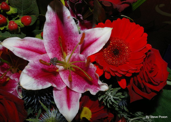 Flower
