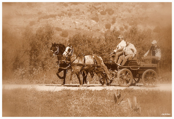 Horse N Cart