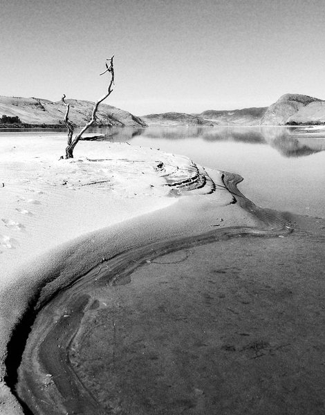 kamloops lake