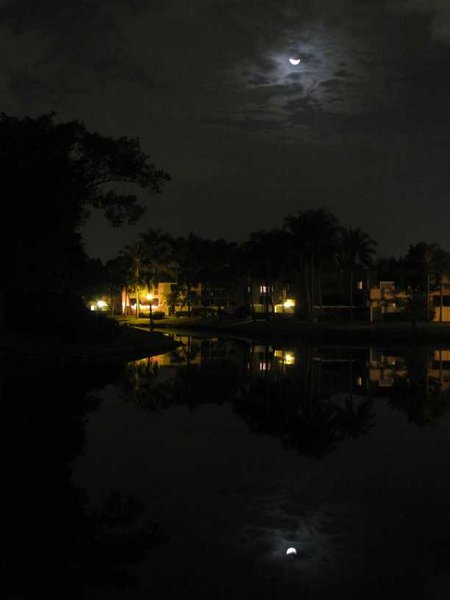 Reflections of a new moon