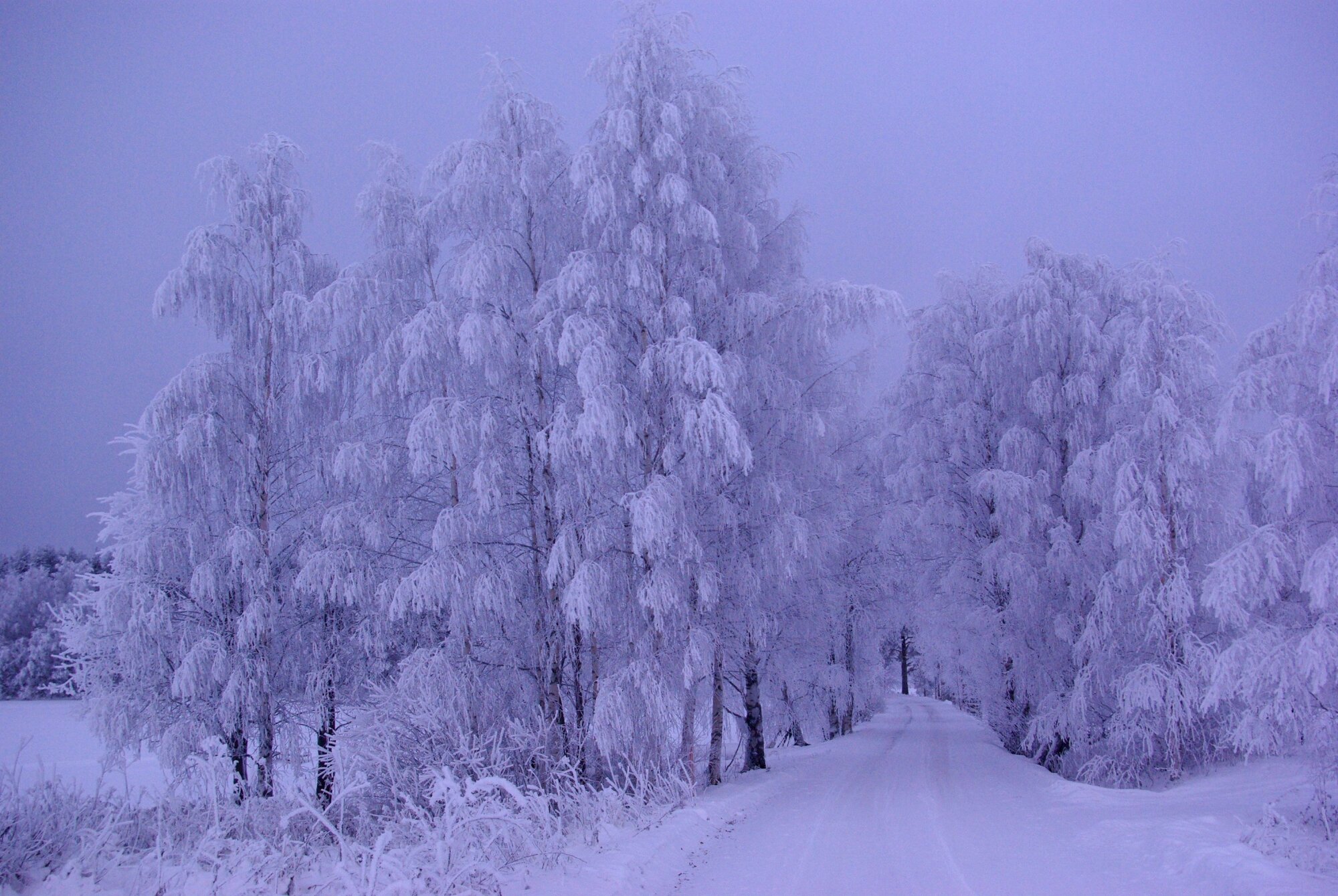 A village road in frost