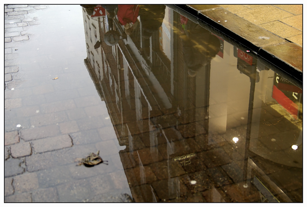 reflection